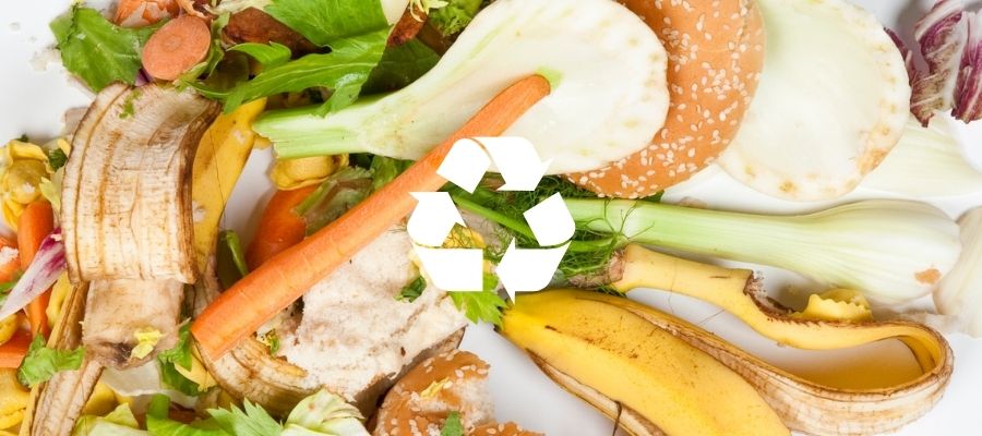 La double vie des aliments